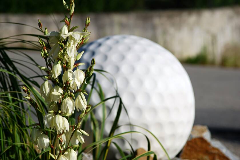 Golf Club Český Krumlov - Image 1